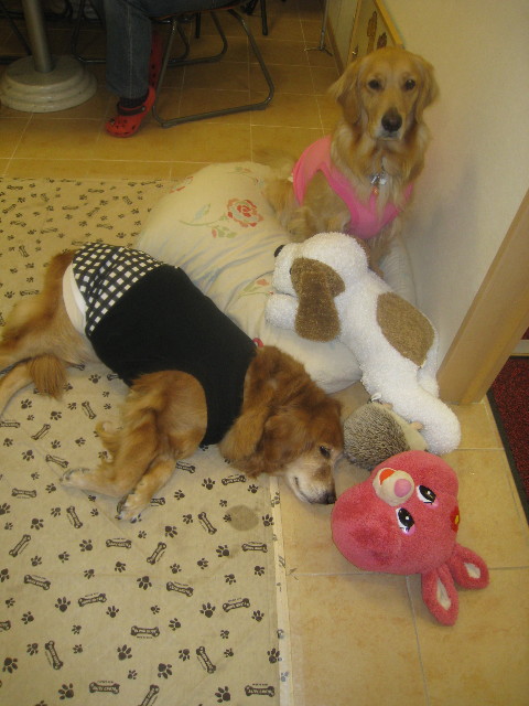 ファイル 738-5.jpg