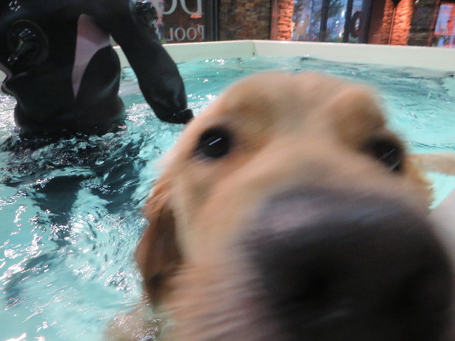 ファイル 7381-1.jpg