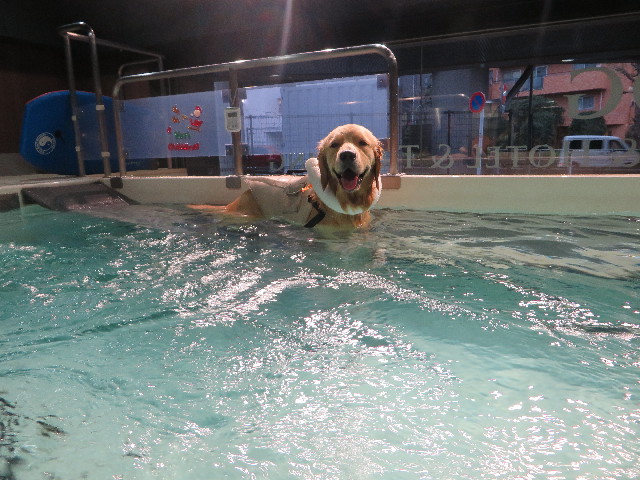 ファイル 7381-2.jpg