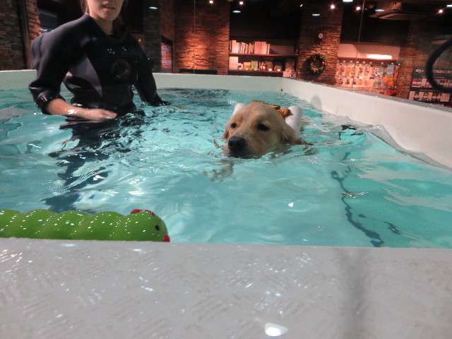 ファイル 7381-3.jpg