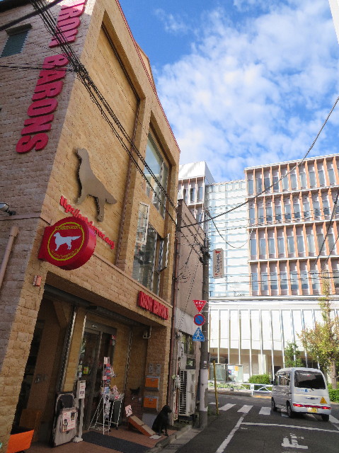 ファイル 7383-1.jpg