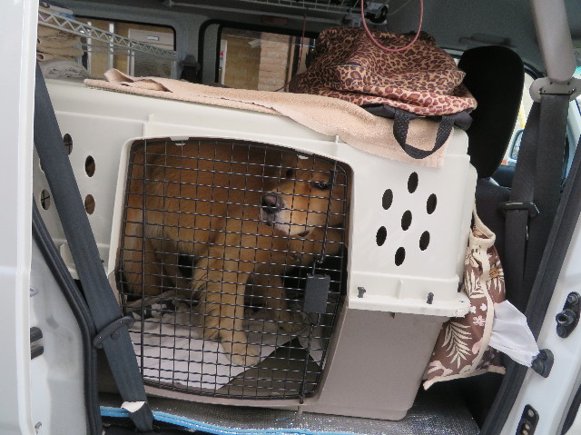 ファイル 7383-2.jpg