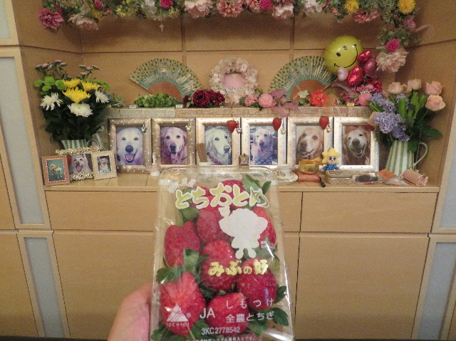 ファイル 7383-5.jpg