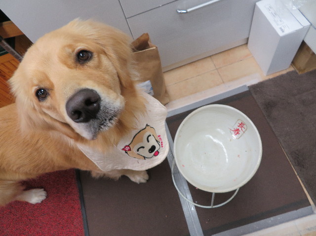 ファイル 7384-2.jpg