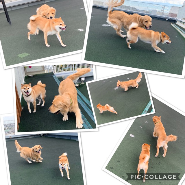 ファイル 7384-4.jpg