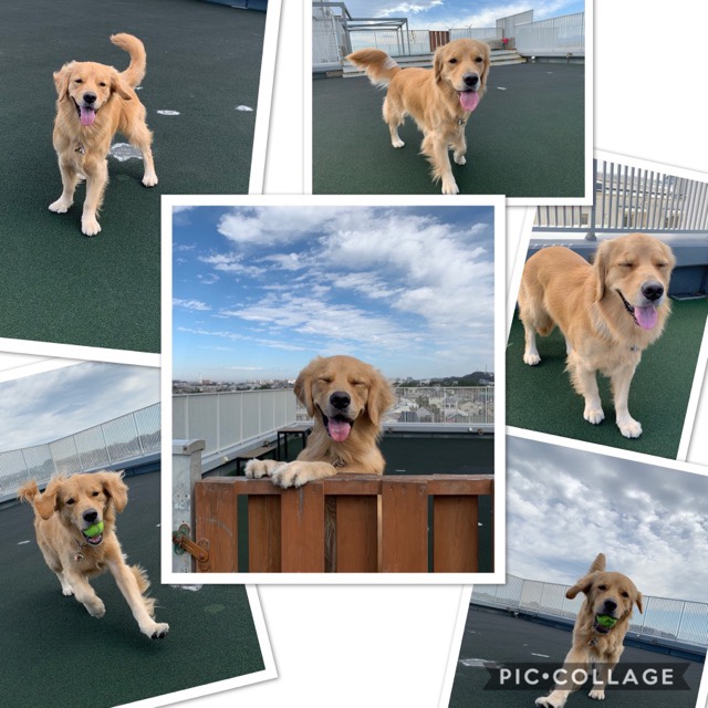 ファイル 7384-5.jpg