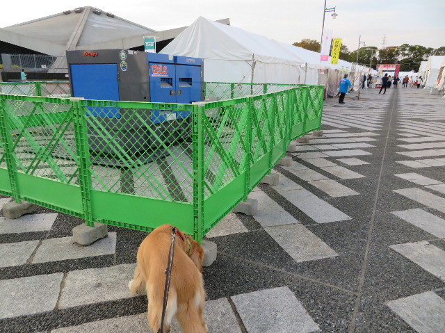 ファイル 7387-2.jpg