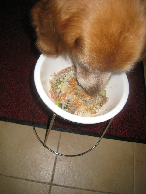 ファイル 739-4.jpg