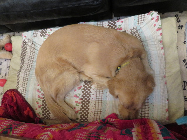 ファイル 7392-3.jpg