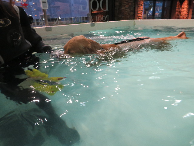 ファイル 7396-4.jpg