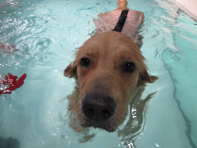 ファイル 7396-5.jpg