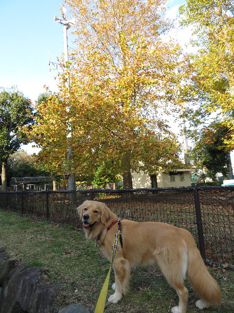 ファイル 7397-1.jpg