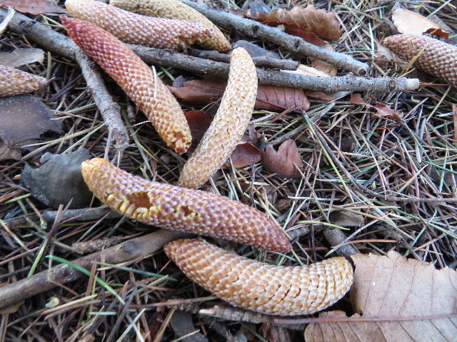 ファイル 7397-4.jpg