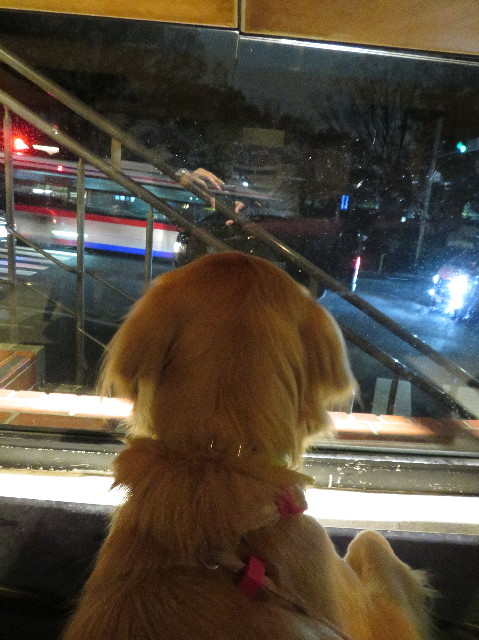 ファイル 7398-4.jpg