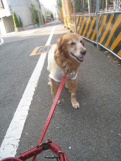 ファイル 740-3.jpg