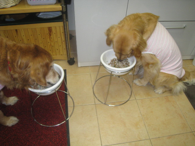 ファイル 740-5.jpg