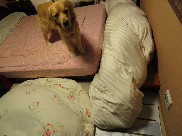 ファイル 7400-3.jpg