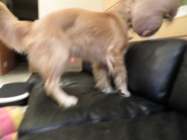 ファイル 7400-4.jpg