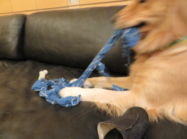 ファイル 7404-4.jpg