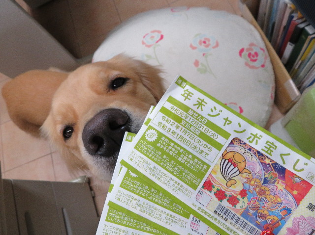 ファイル 7404-5.jpg