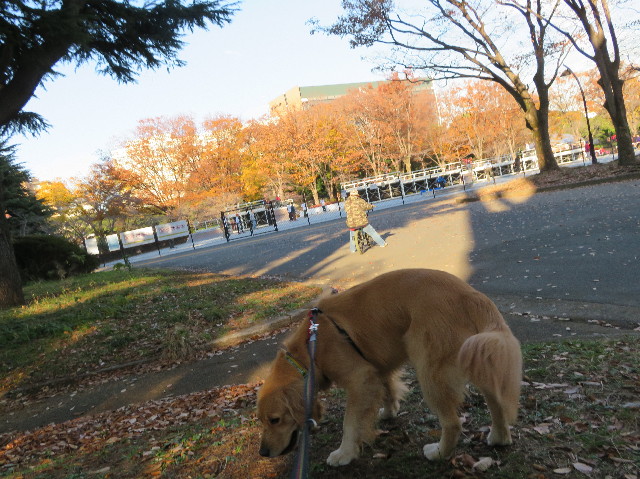 ファイル 7406-4.jpg