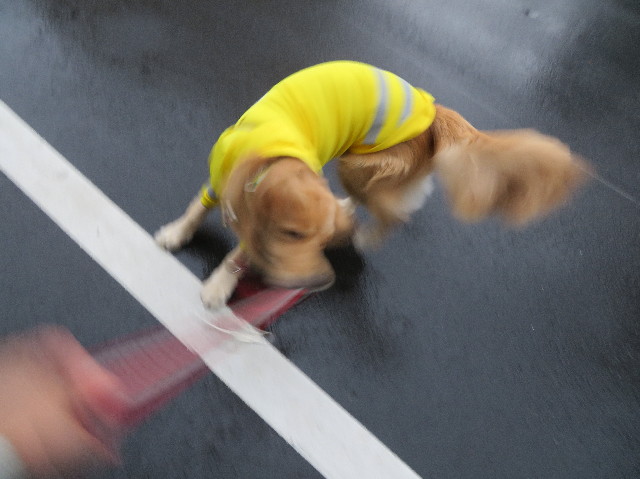 ファイル 7408-1.jpg