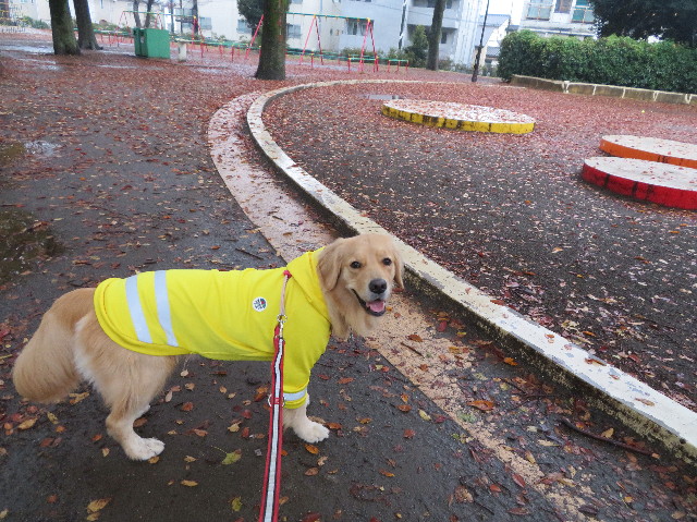 ファイル 7408-3.jpg