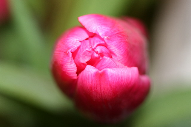 ファイル 741-3.jpg