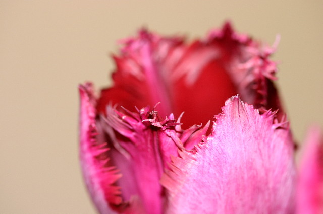 ファイル 741-5.jpg