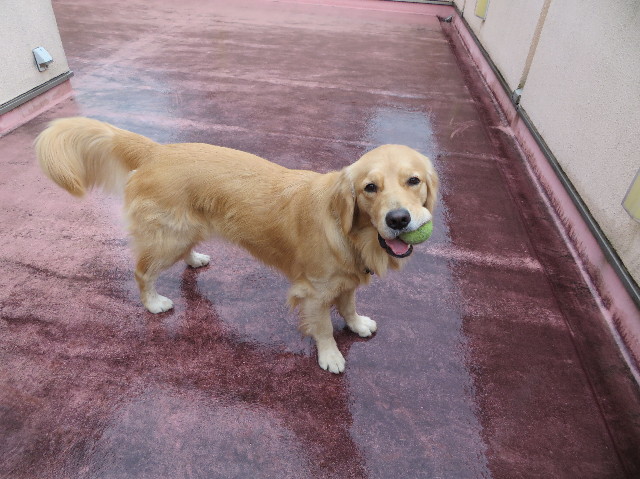 ファイル 7410-2.jpg