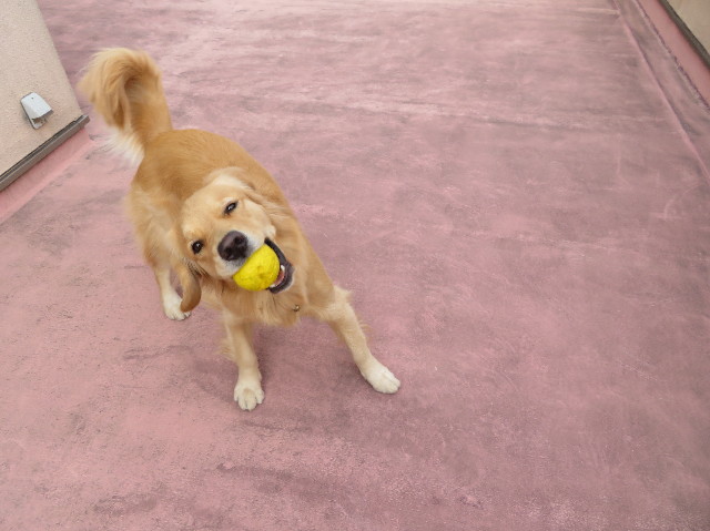 ファイル 7410-3.jpg