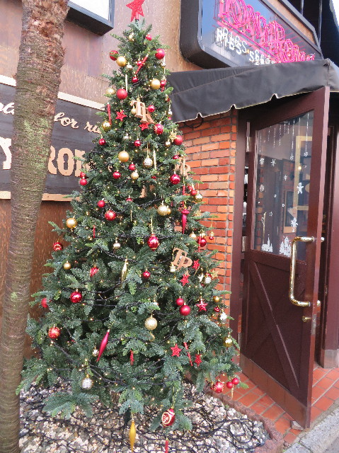 ファイル 7411-1.jpg