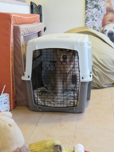 ファイル 7412-1.jpg