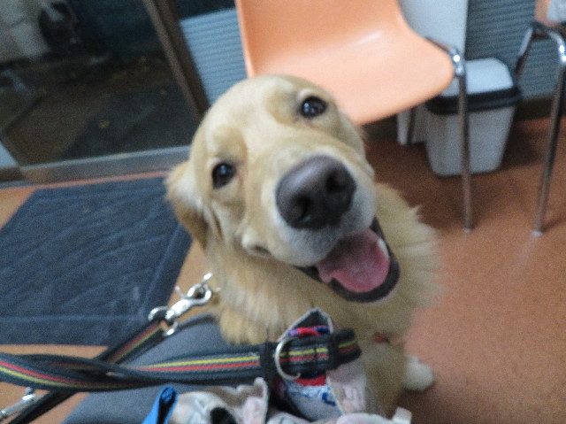 ファイル 7413-1.jpg