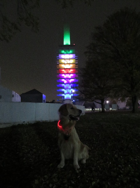 ファイル 7414-1.jpg