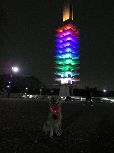 ファイル 7414-2.jpg