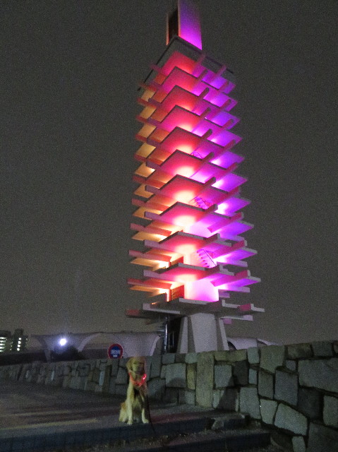 ファイル 7414-3.jpg