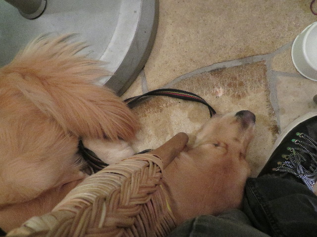 ファイル 7414-5.jpg