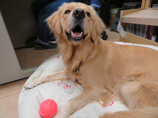 ファイル 7415-1.jpg