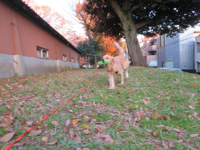 ファイル 7415-3.jpg