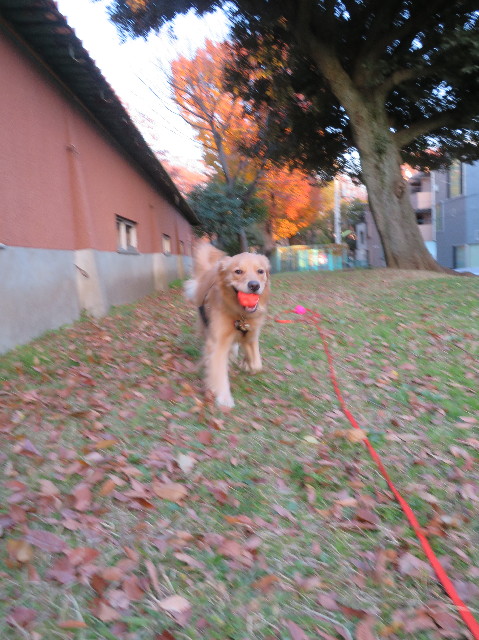 ファイル 7415-4.jpg