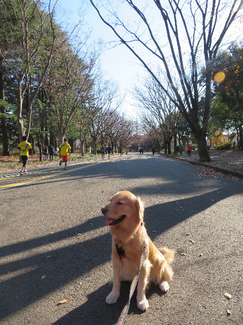 ファイル 7417-1.jpg