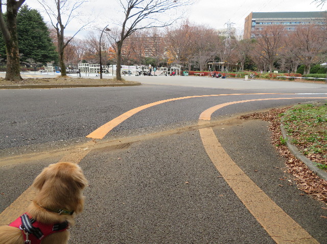 ファイル 7417-2.jpg