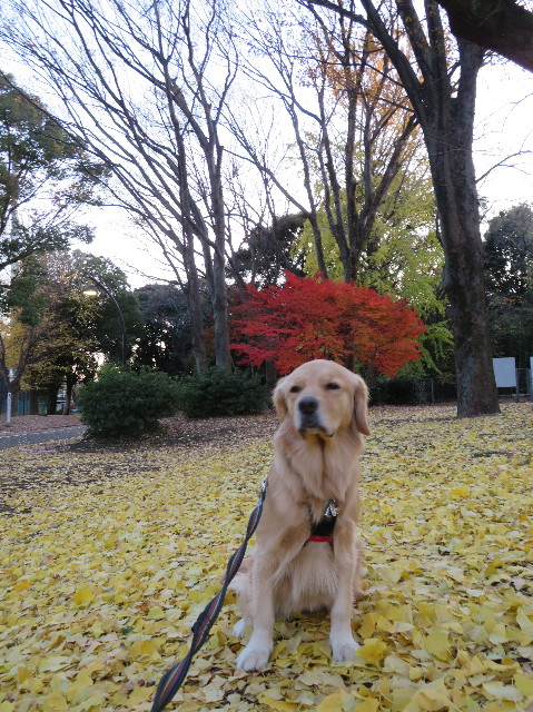 ファイル 7417-5.jpg