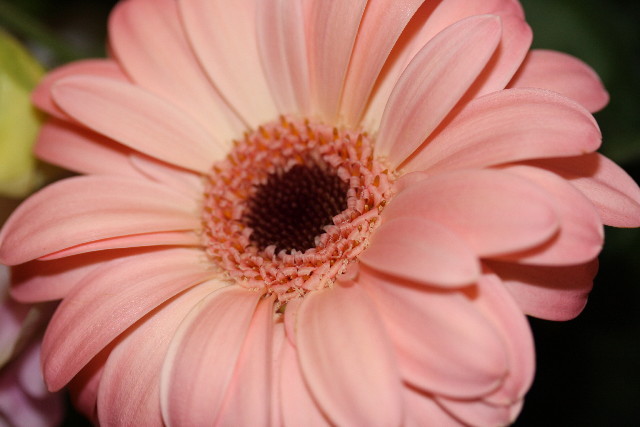 ファイル 742-5.jpg