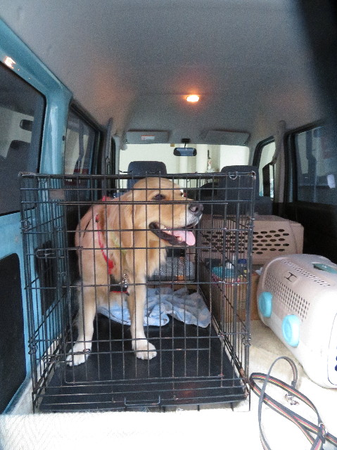 ファイル 7420-1.jpg