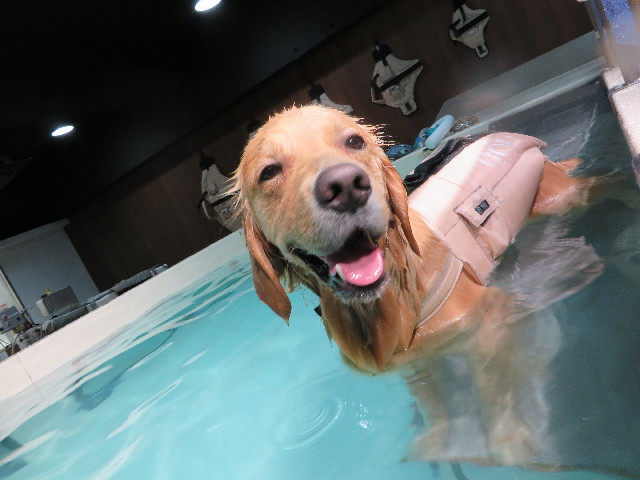 ファイル 7420-3.jpg