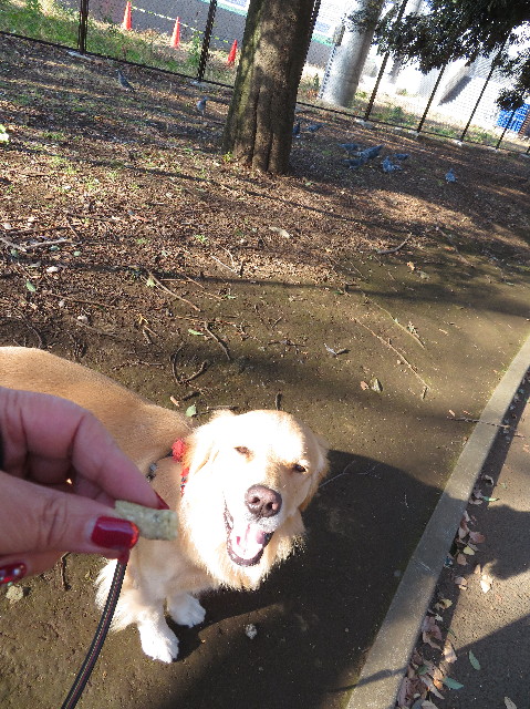 ファイル 7422-1.jpg