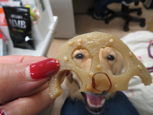 ファイル 7422-5.jpg