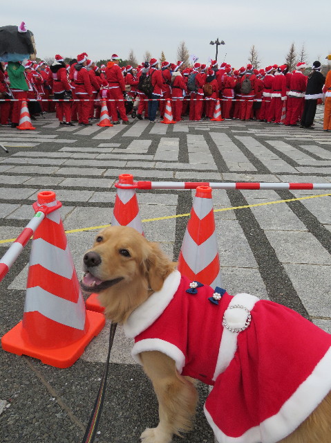 ファイル 7425-4.jpg